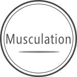 musculation angouleme